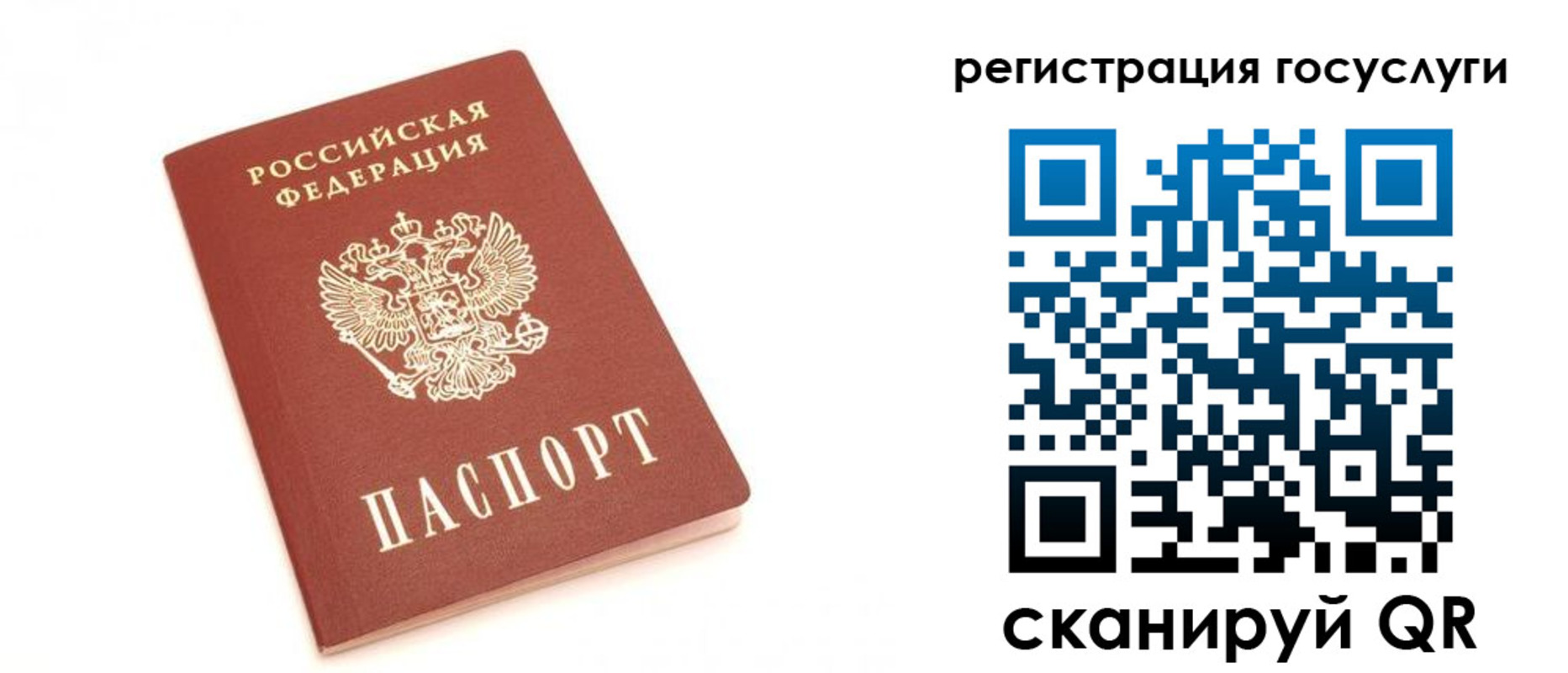 прописка для школы в Ермолино