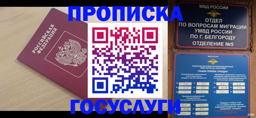 прописка законно в Ермолино